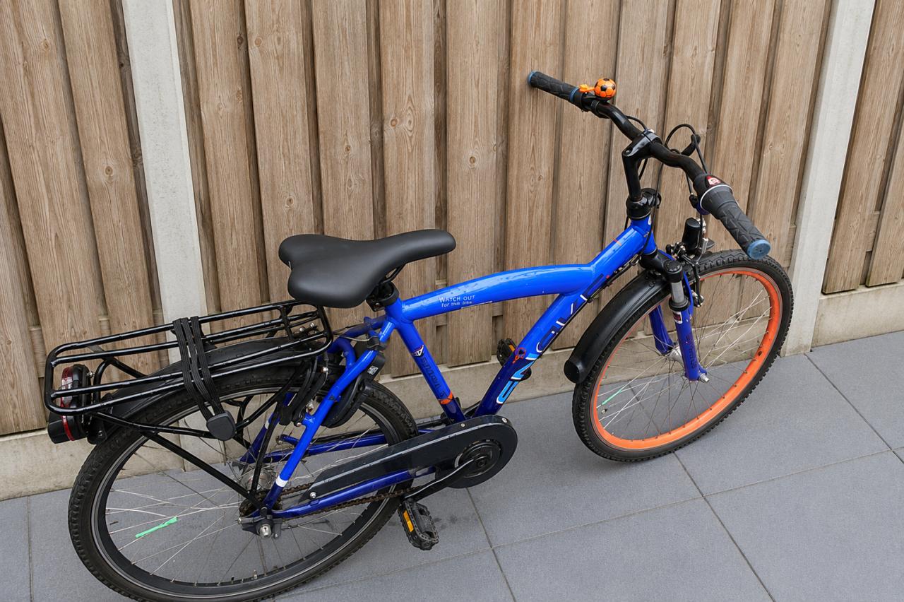 🚲 Batavus Snake Jongensfiets – 26 inch – 3 Versnellingen