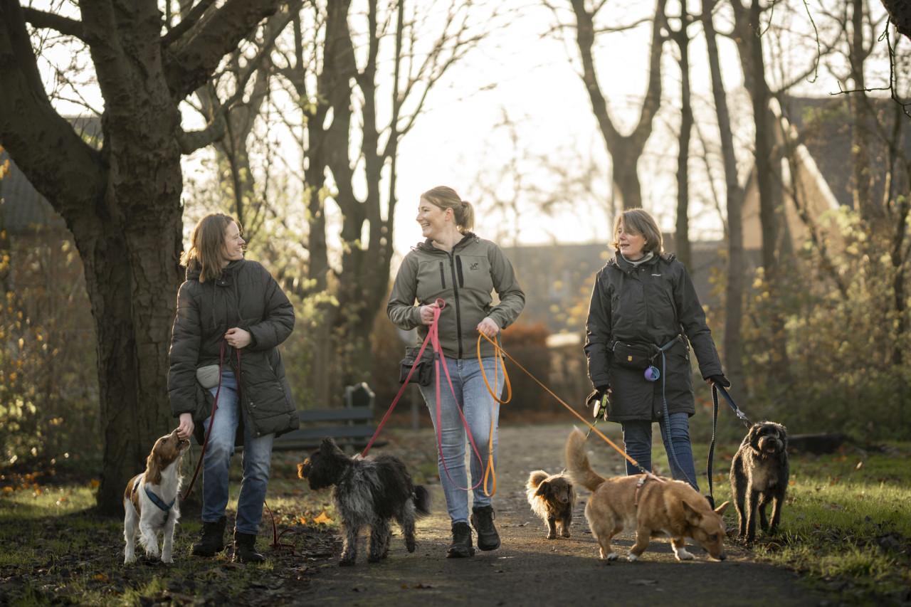 Uitvallende of overenthousiaste hond? Sluit aan bij een Groepswandeling