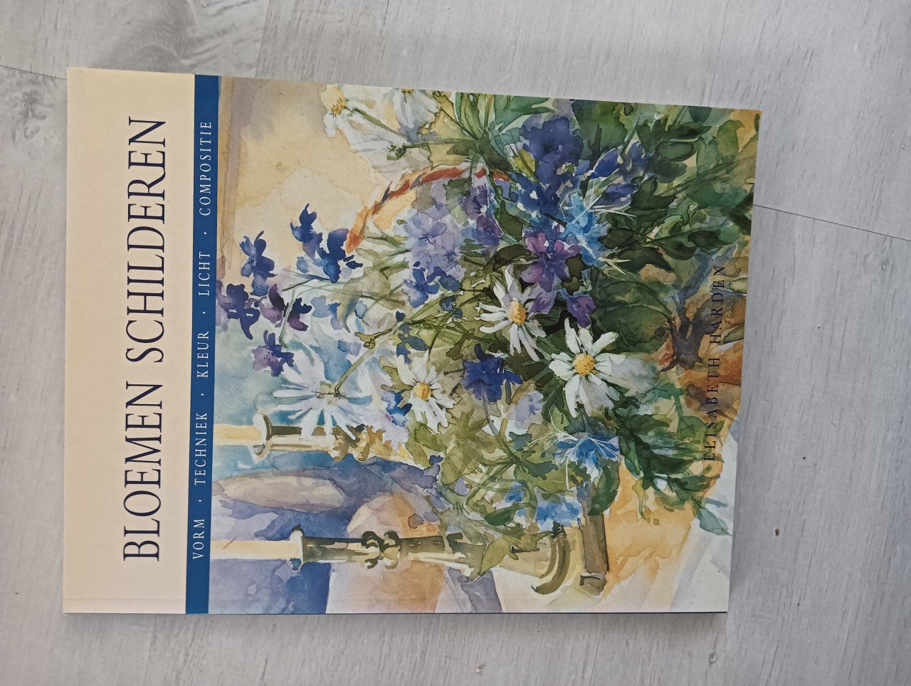 Diverse schilder boeken