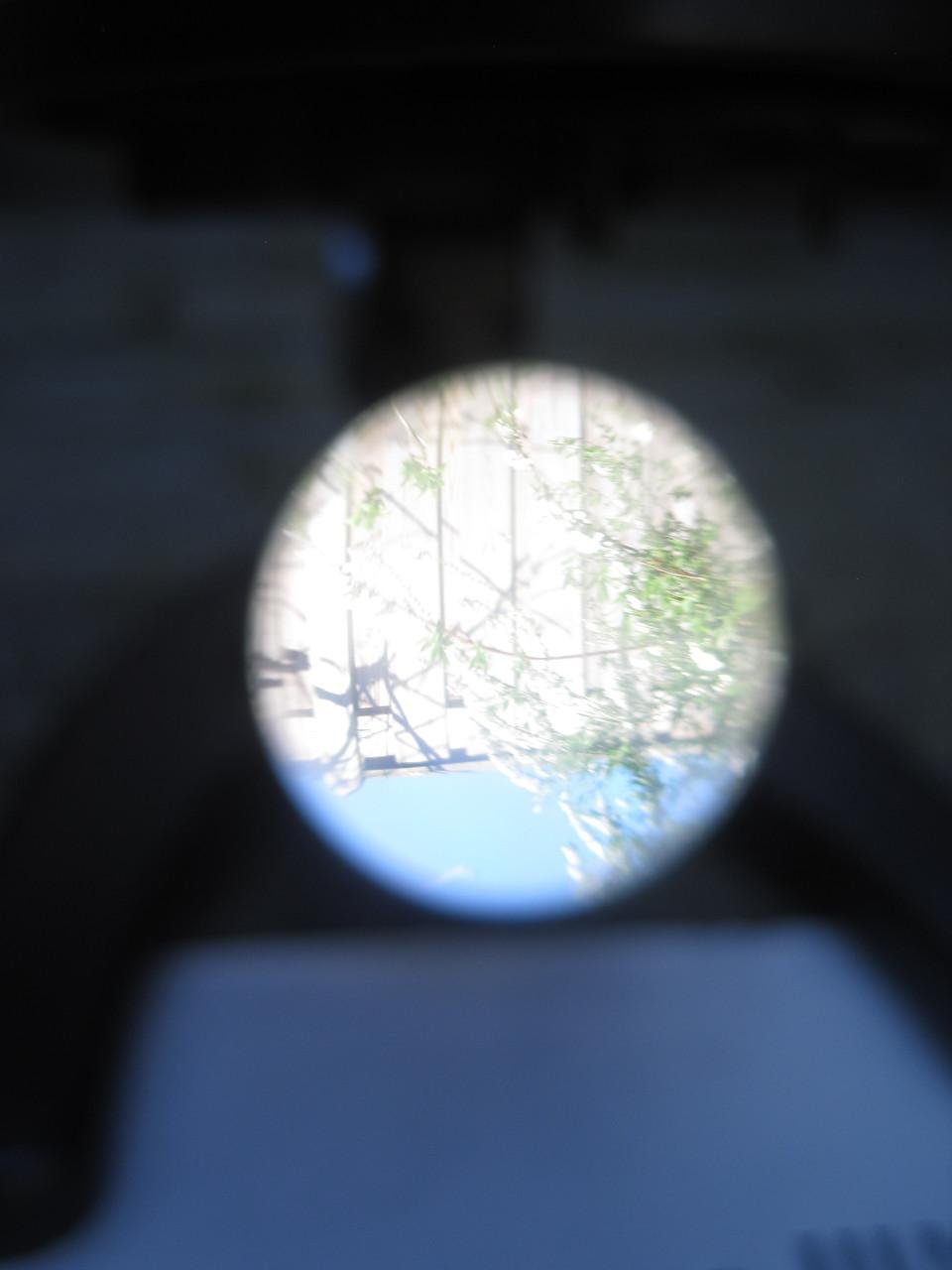 Microscoop in houten kist