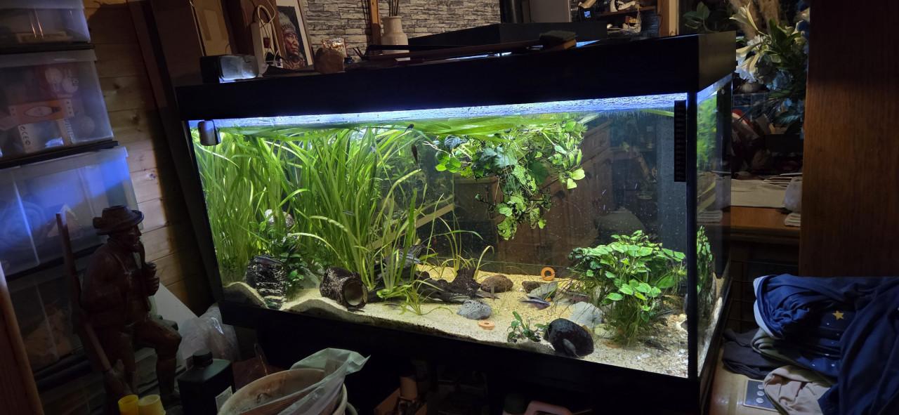 Aquarium