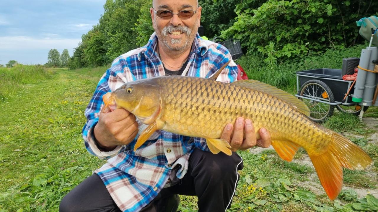 Hengelsport in de polder bij Karpervisserij Koudekerke €17,50 visvergunning