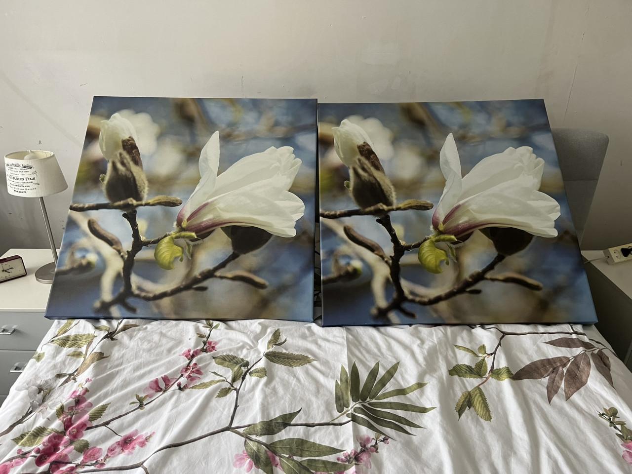 2 Foto's  op canvas