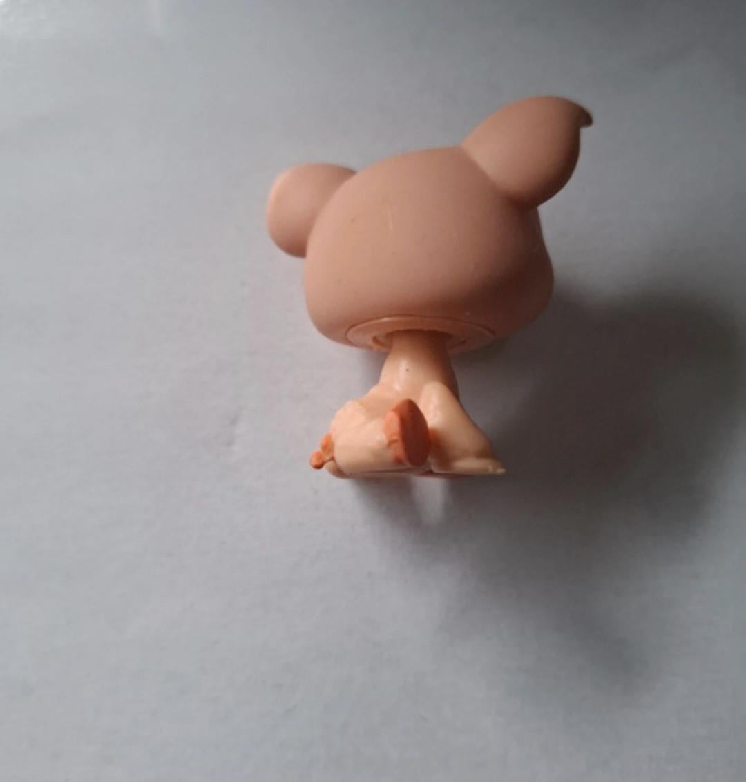 Lps varken #622
