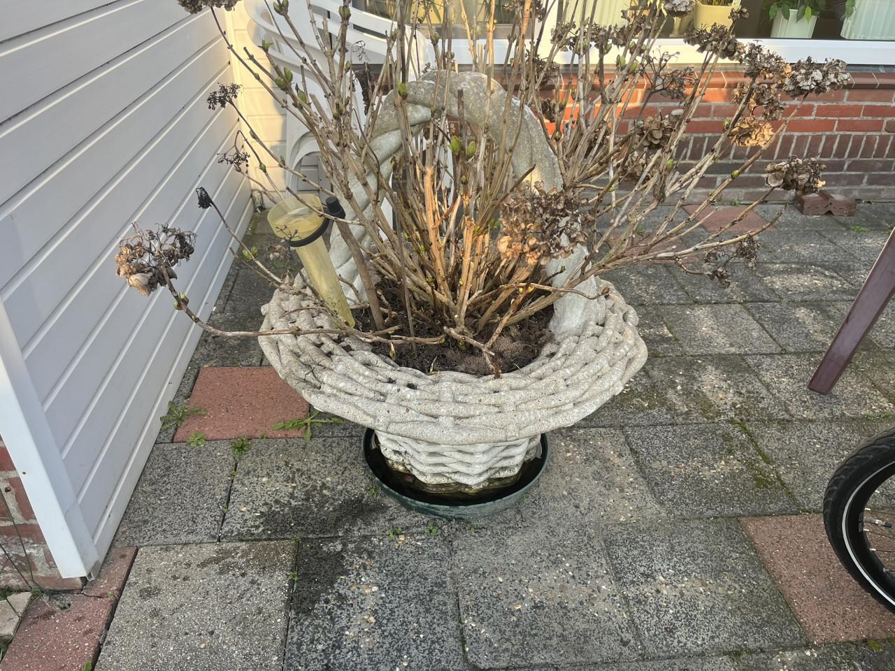 Bloemenmand \ plantenbak van gegoten steen,