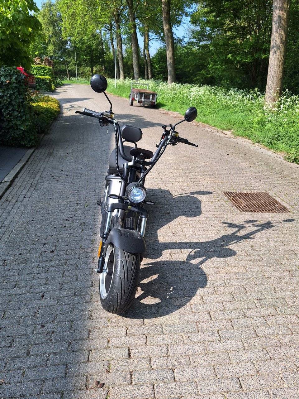 Smartwheelz/Mangosteen M2 e-chopper 2 stuks