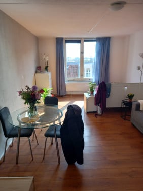 MOOIE STUDIO