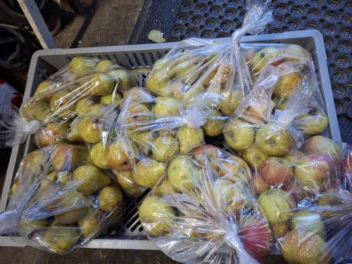 PEREN !