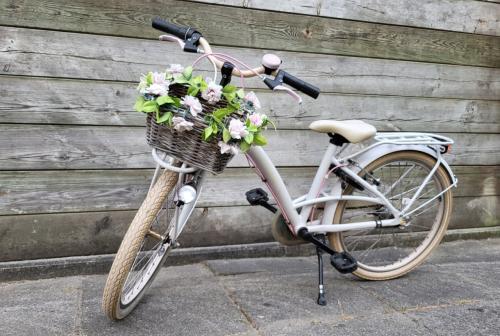 Loekie Prinses 22 inch meisjesfiets