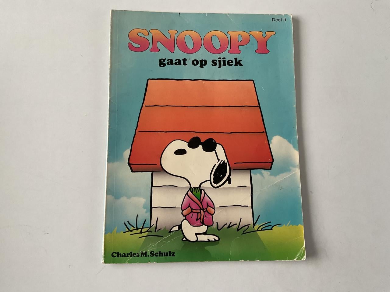 Verschillende stripboekjes voor de kinderen.
