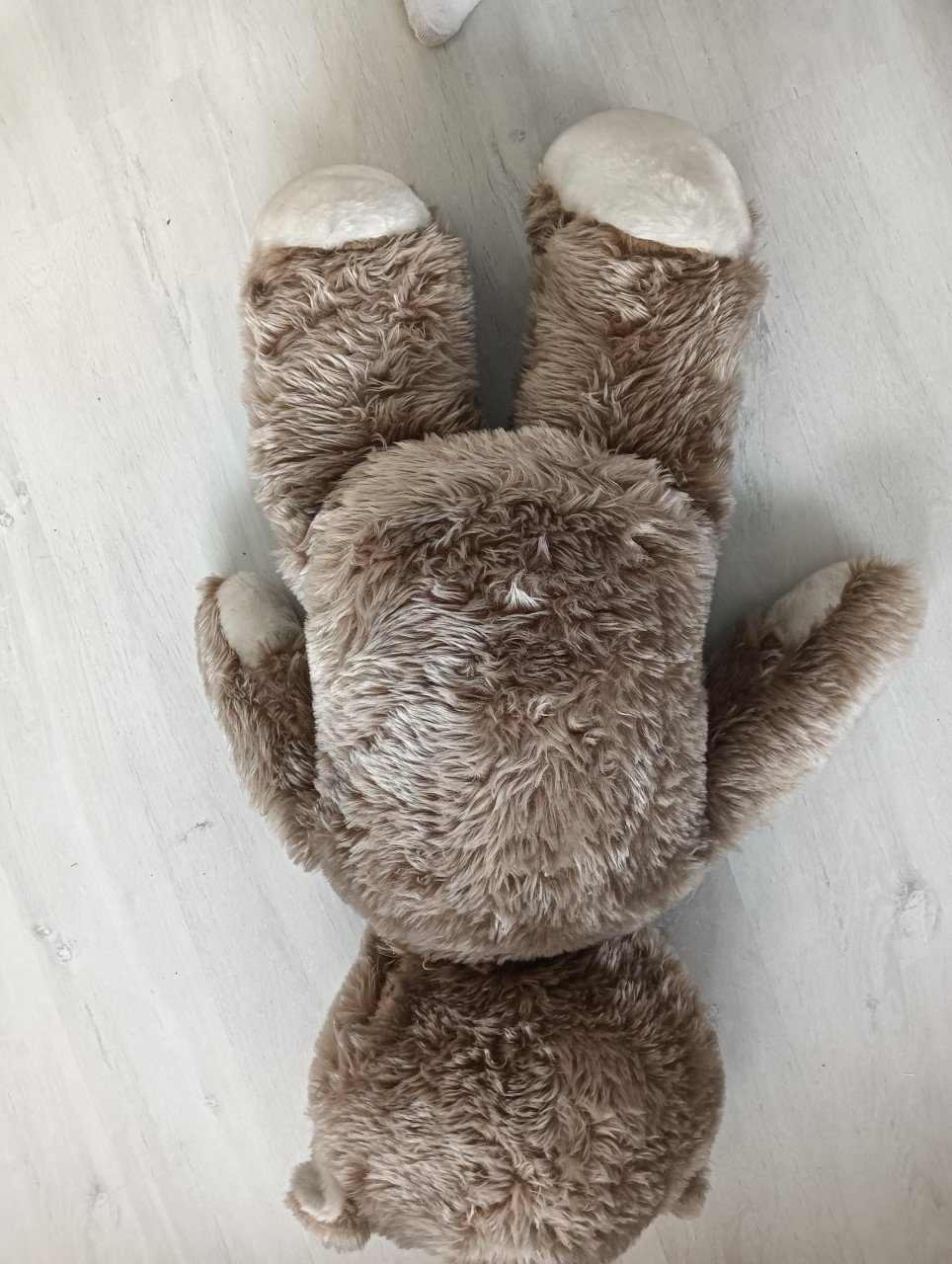Super grote knuffelbeer