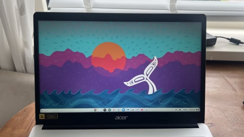 Acer Chromebook 315