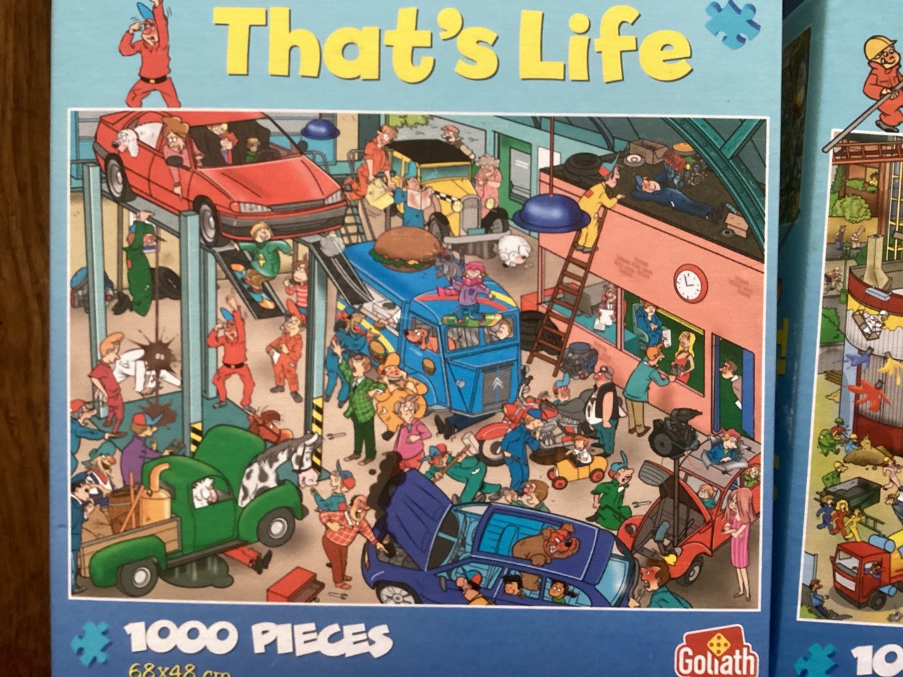 Diverse leuke puzzels van That’s Life. 1000 st.