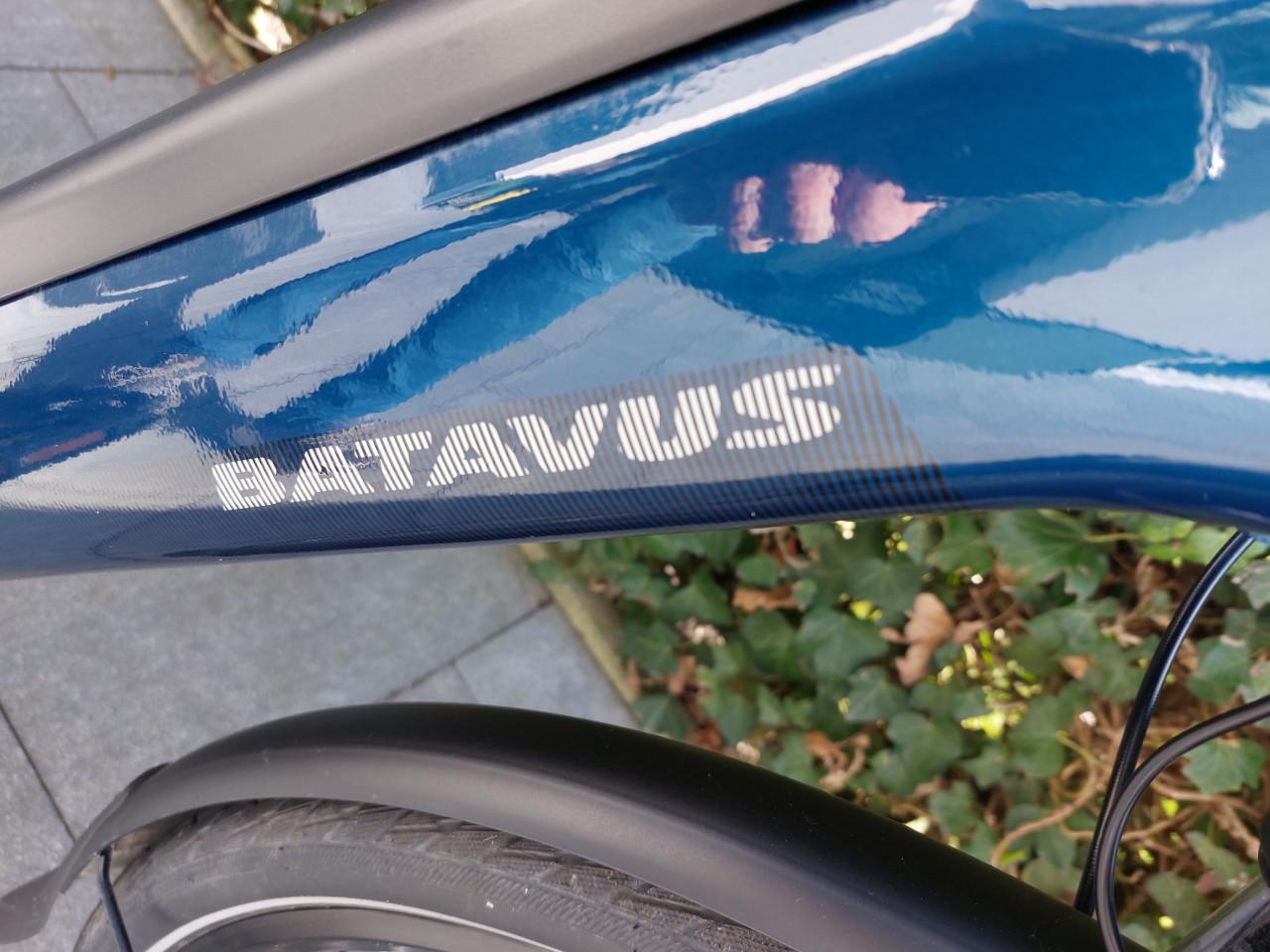 Batavus Finez E-go power exclusieve