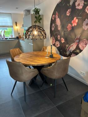 Eetkamer stoelen (4 stuks)