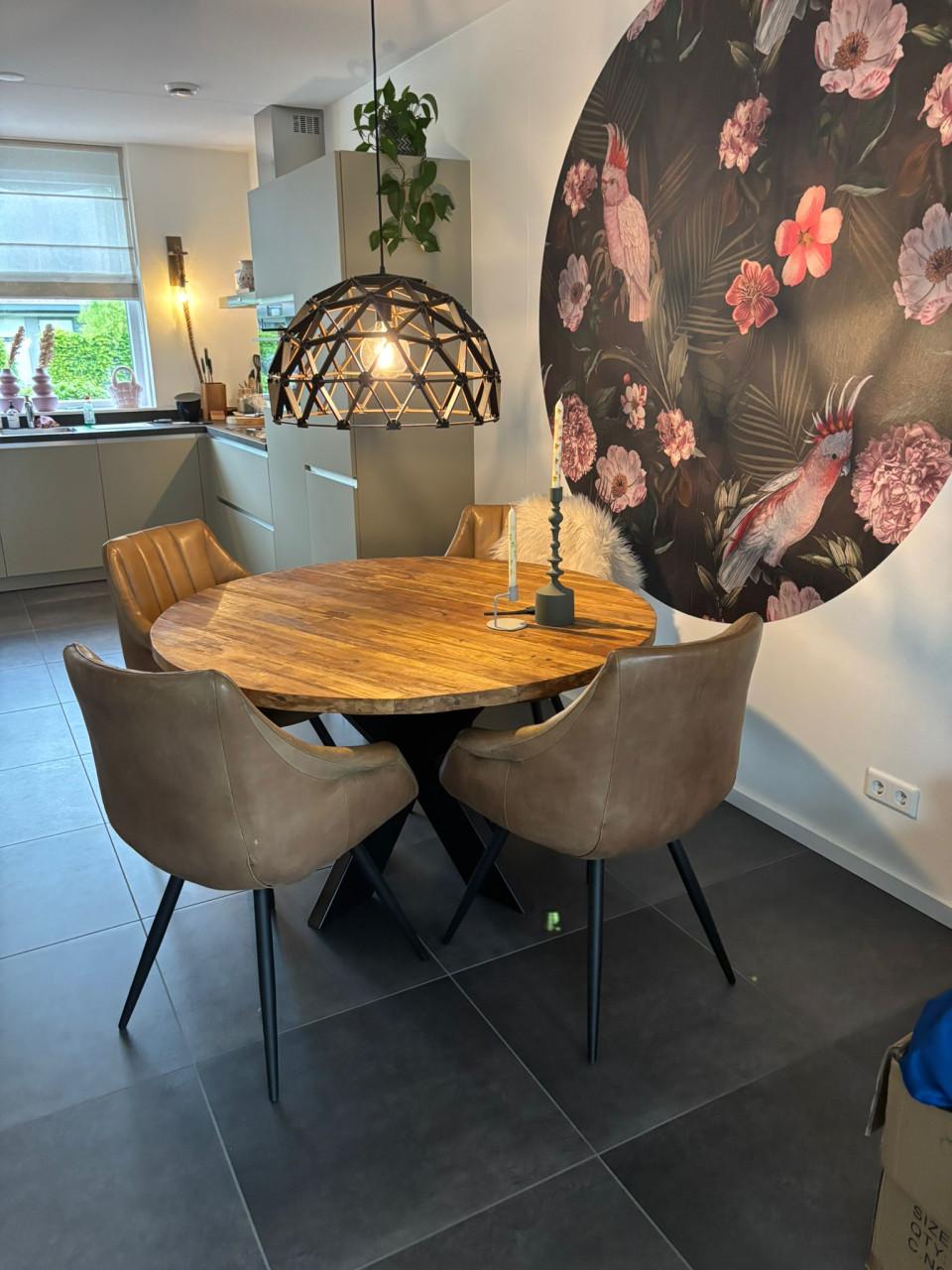 Eetkamer stoelen (4 stuks)
