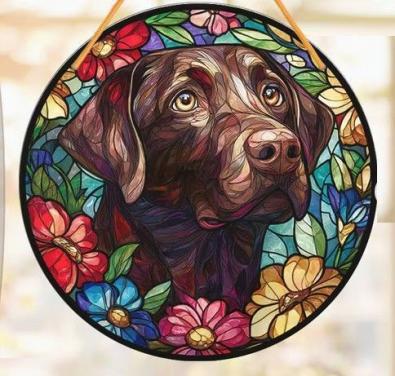 Raamhanger Labrador