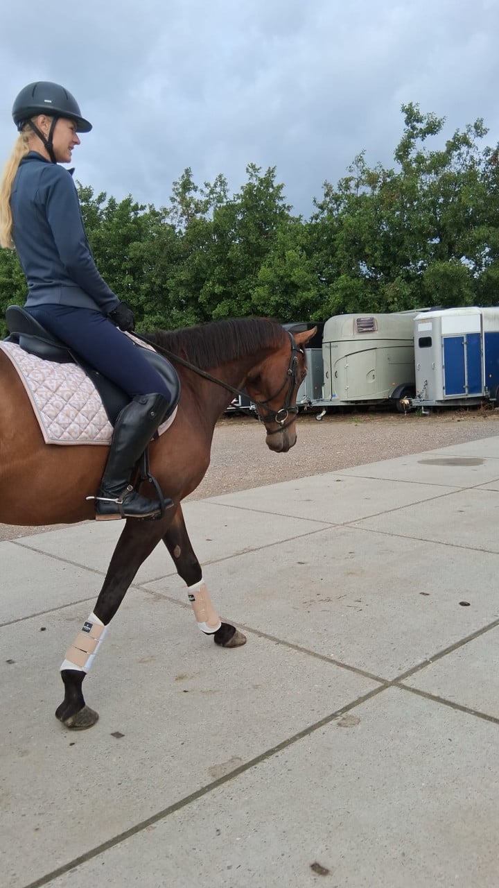 Knappe 7 jarige e pony ruin