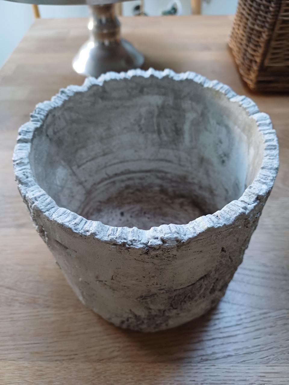 Als NIEUW: Sobere, stoere BINNEN POT nu met GRATIS PLANT