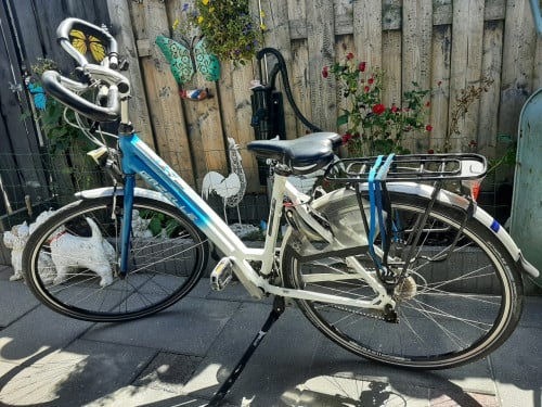 Mooie damesfiers Gazelle Fuente