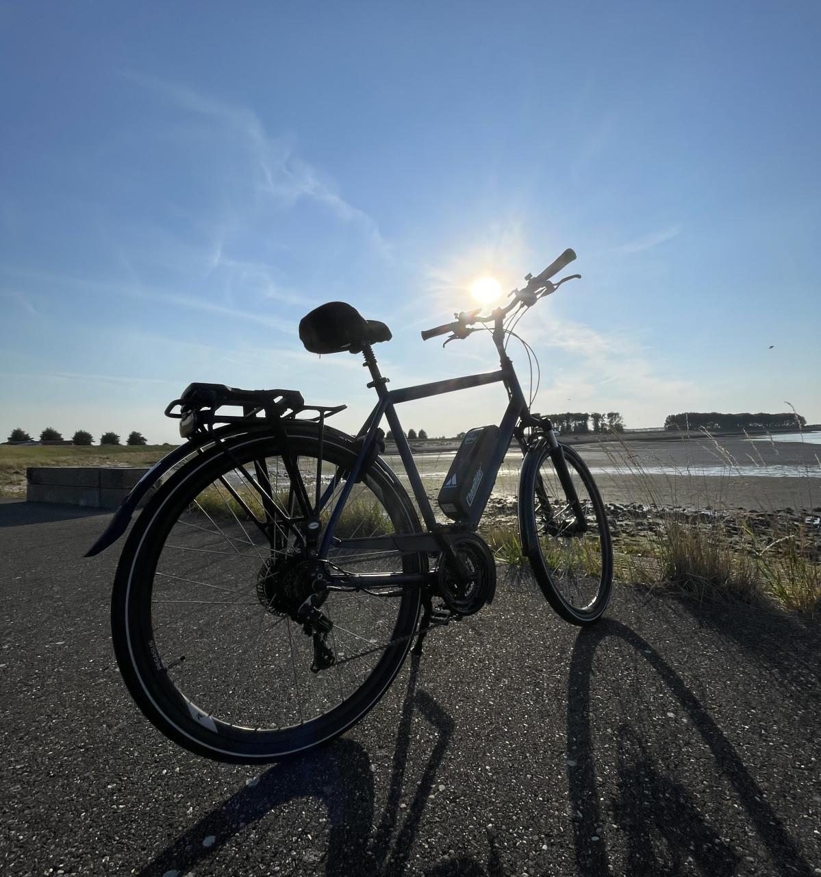 Custom Pegasus E-Bike 45 km.