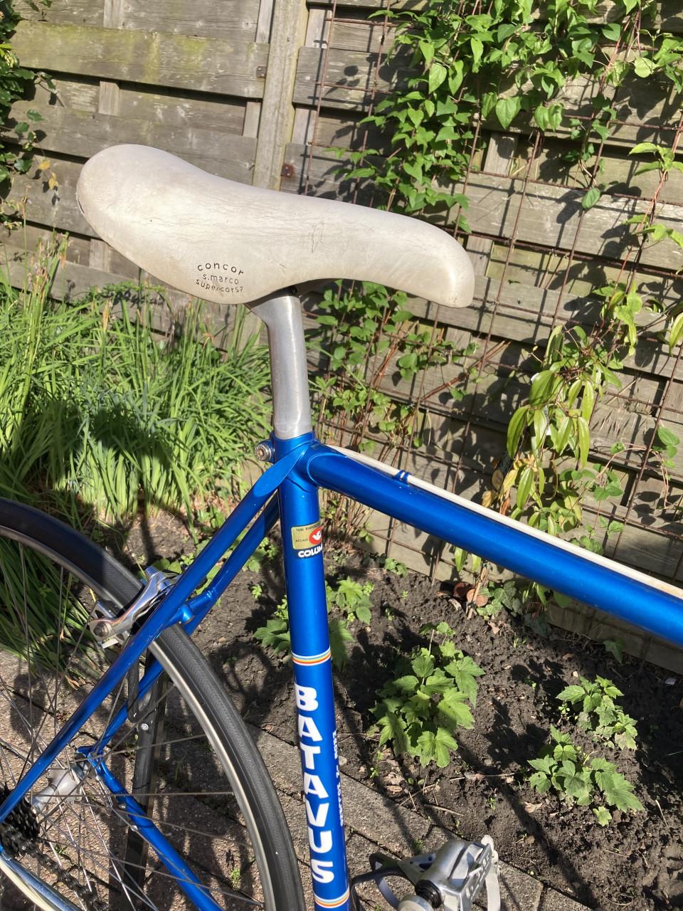 Batavus Professional