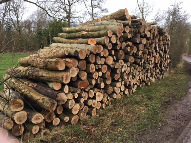 OPENHAARDHOUT/BRANDHOUT BOOMSTAMMEN AF TE HALEN!