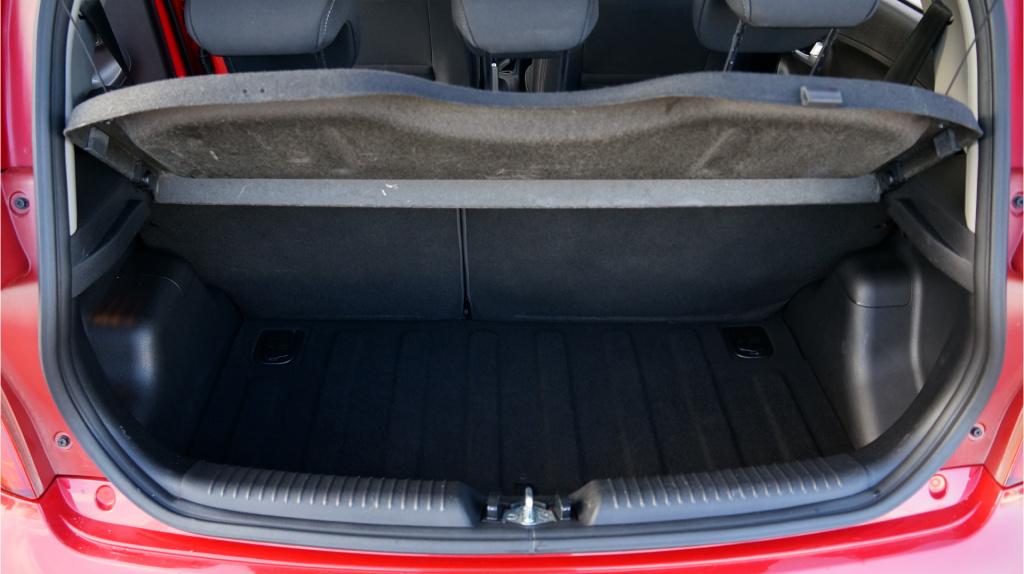 Kia Picanto 1.0 cvvt dynamicline rijklaar incl garantie