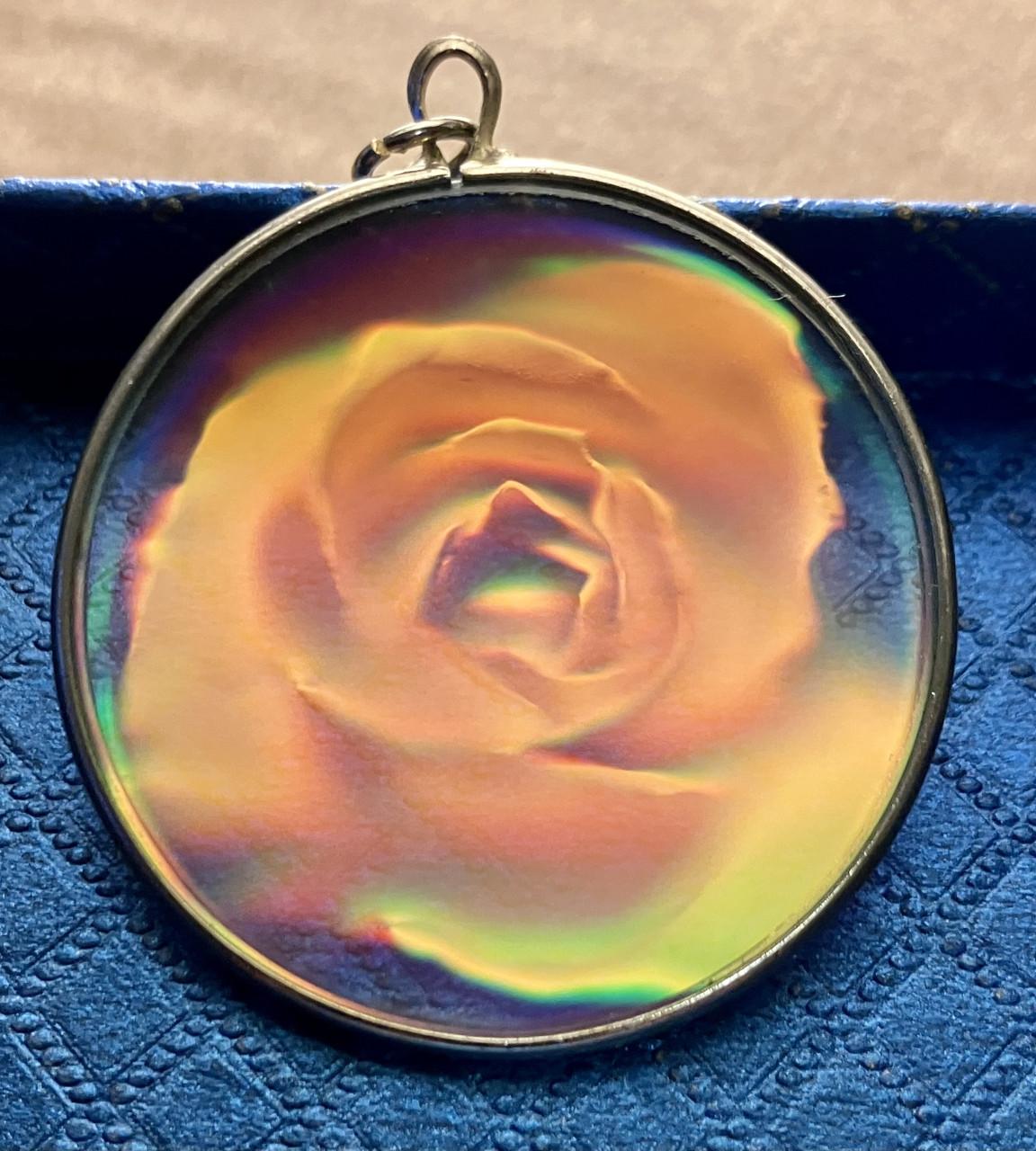 HOLOGRAM hanger Roos