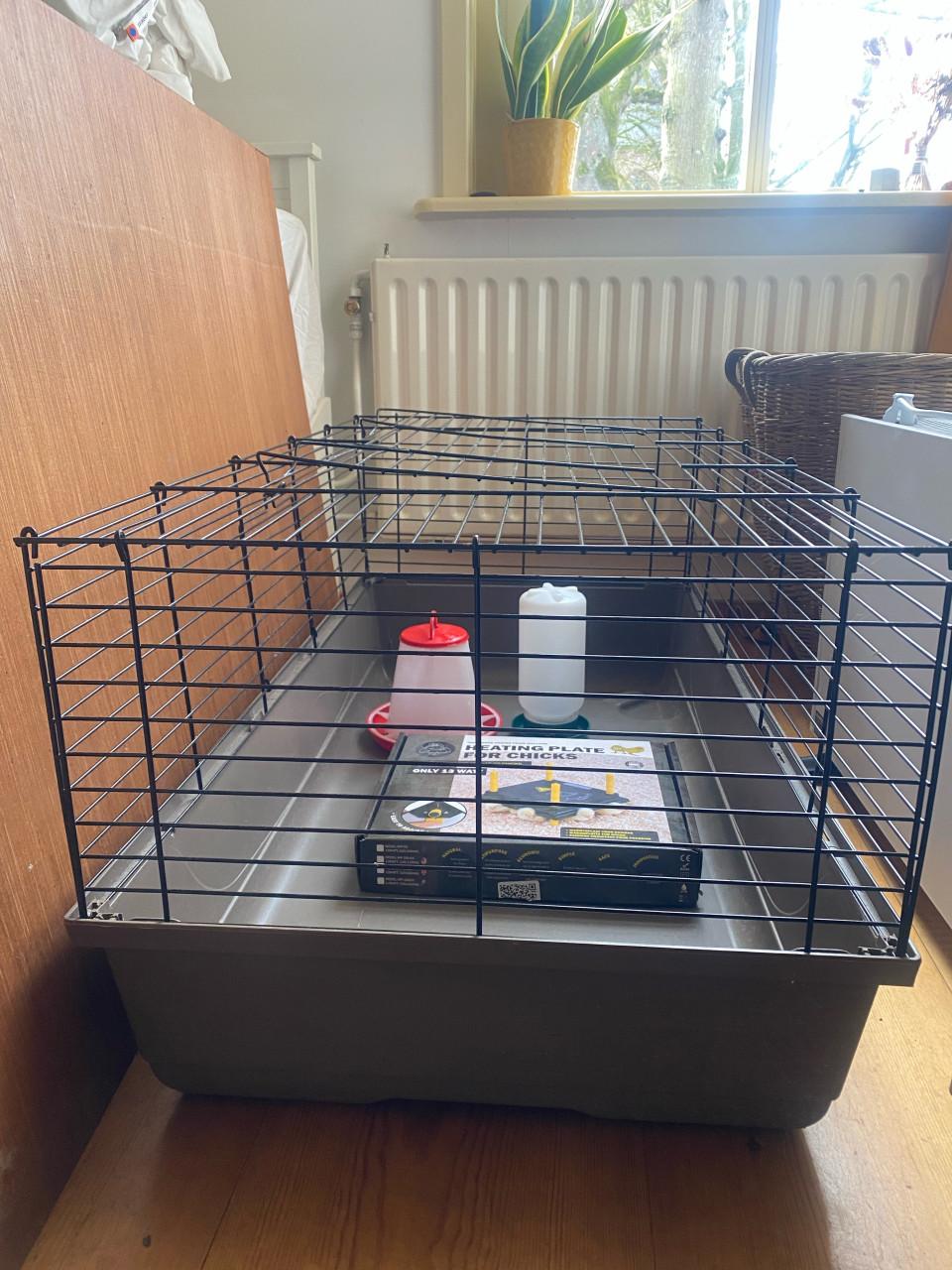 Kuikens benodigdheden hok warmteplaat drinkbak