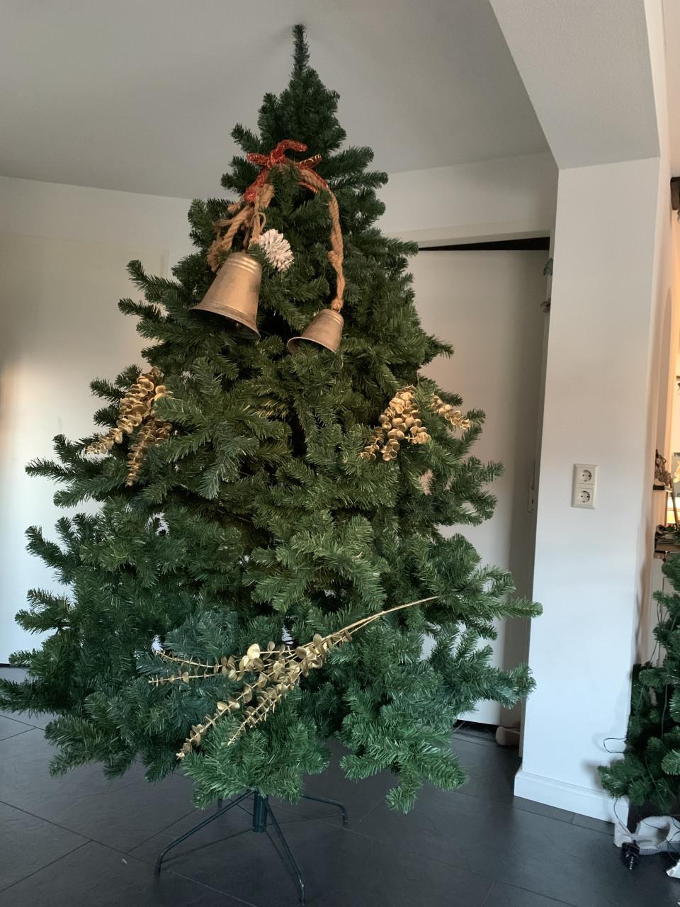 Kerstboom 2.40 m hoog