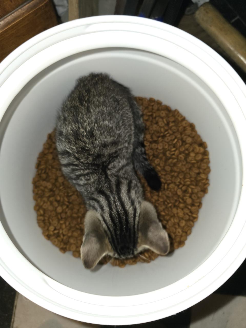 Gebroeders Knuffel en Truffel op zoek naar een nieuwe hoekbank