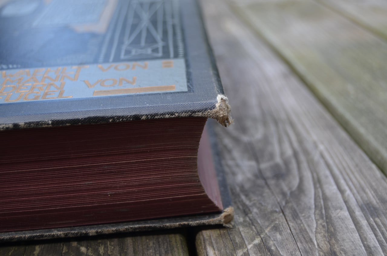 Duitse Volksbijbel Deutsche Volksbibel 1912 mooie ill.