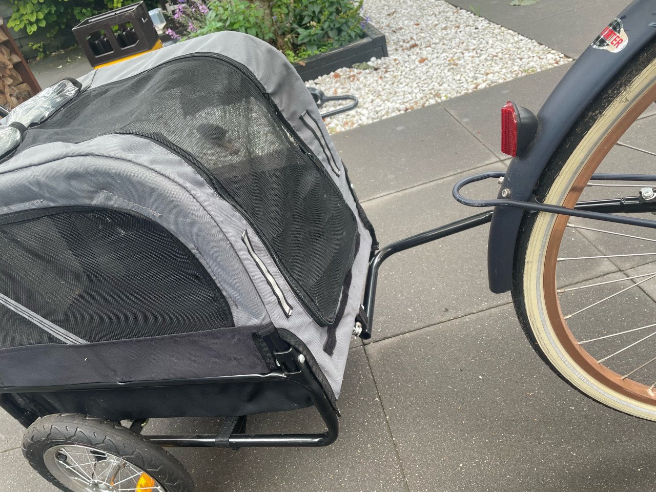 Honden fietskar