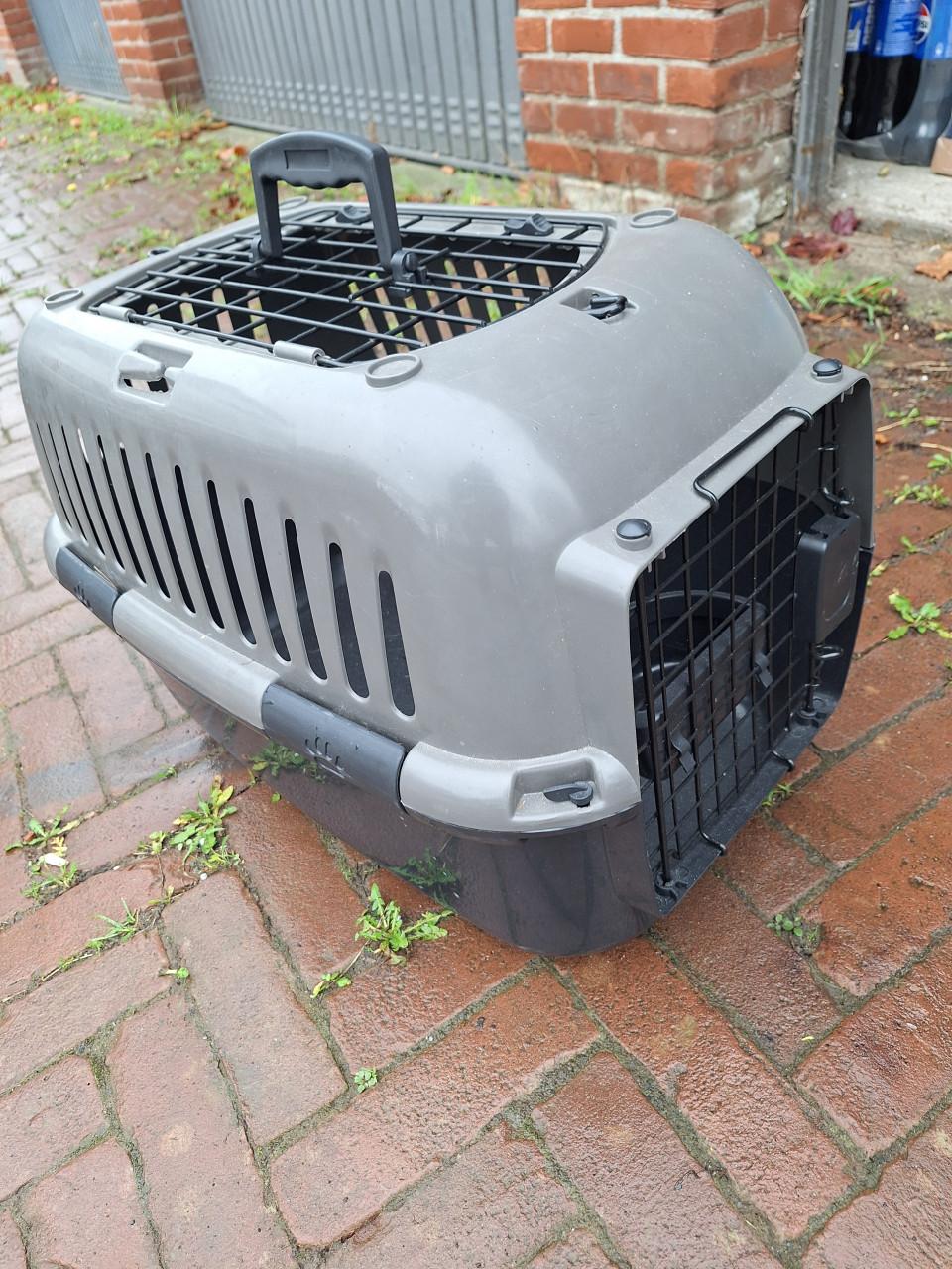 Kattenreismand groot