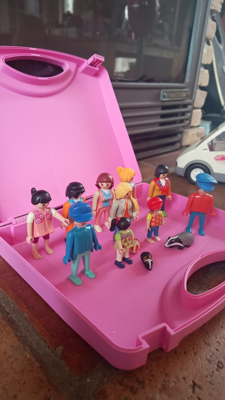 Playmobil set – 10 figuren + dieren in roze koffer