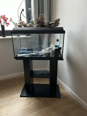 Aquarium
