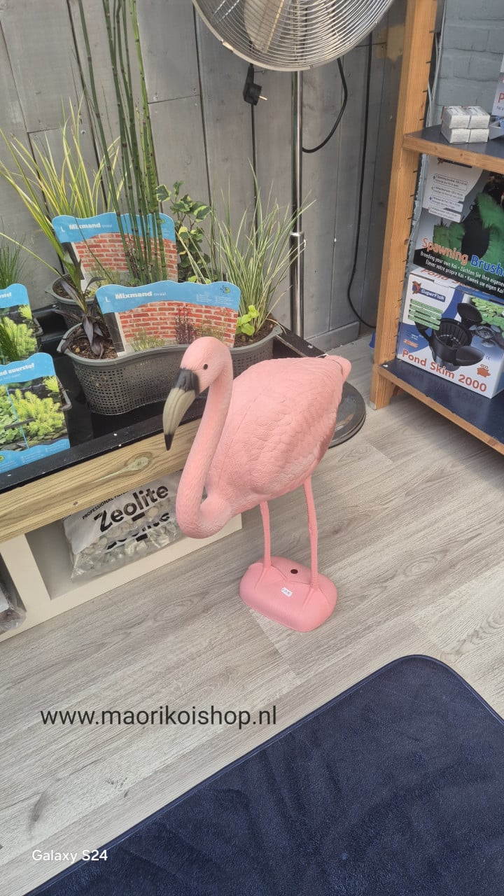 10% korting bij maorikoishop