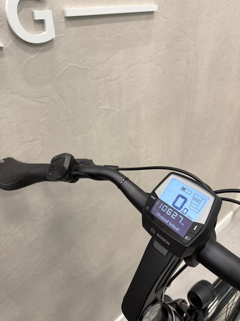 Pegasus Ravenna E8F Bosch Active Line Plus 50CM 500Wh