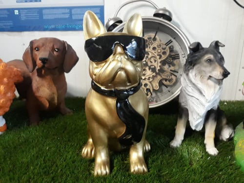 Gouden bulldog met zwarte zonnebril