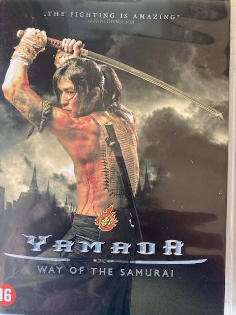 DVD's - divers in  prijs