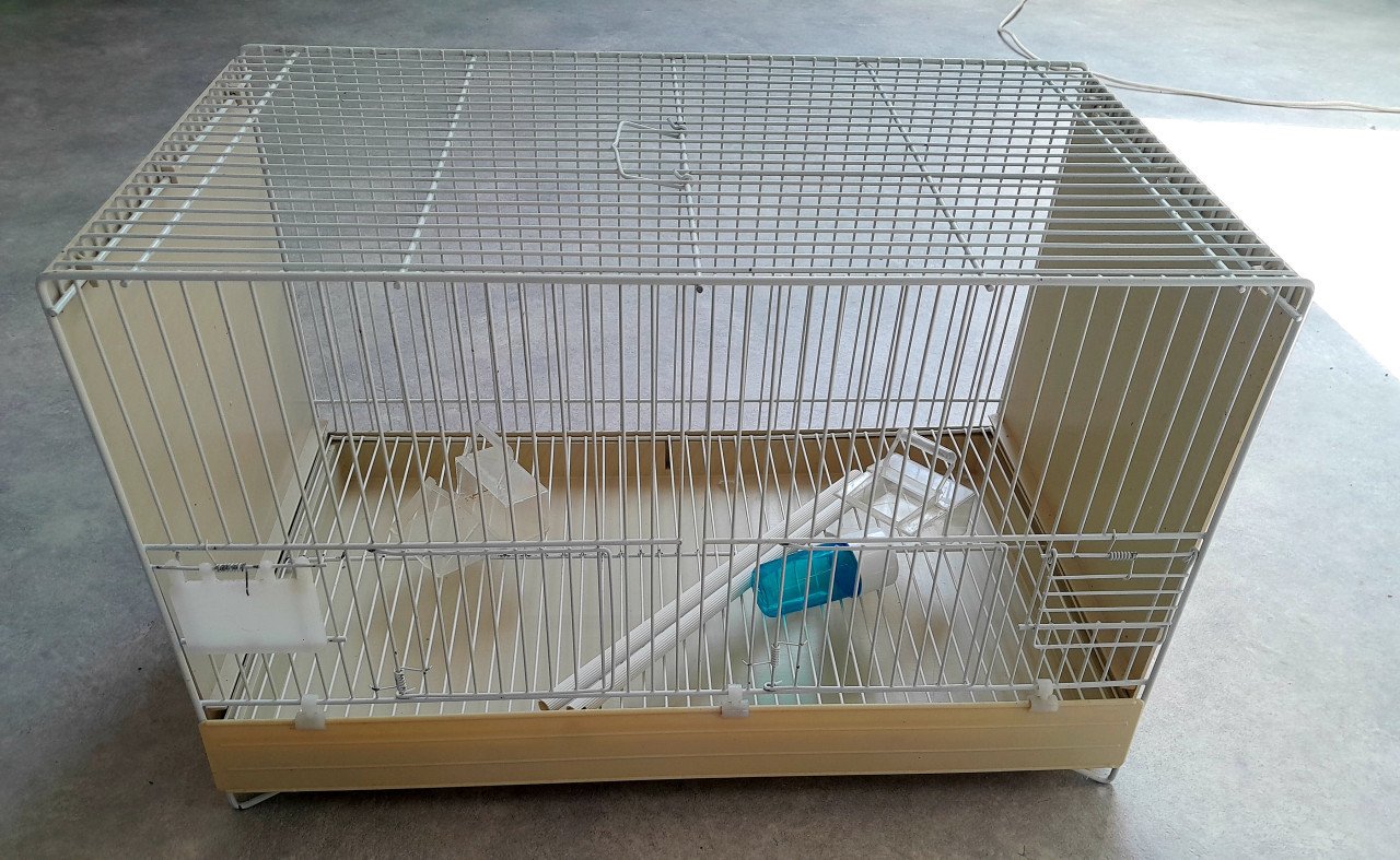 Vogelkooi/broedkooien