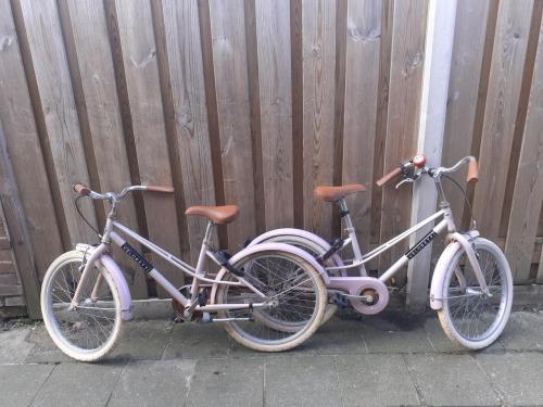 2 x Mooie Meisjesfiets VELORETTI 20 inch "Setje Twins