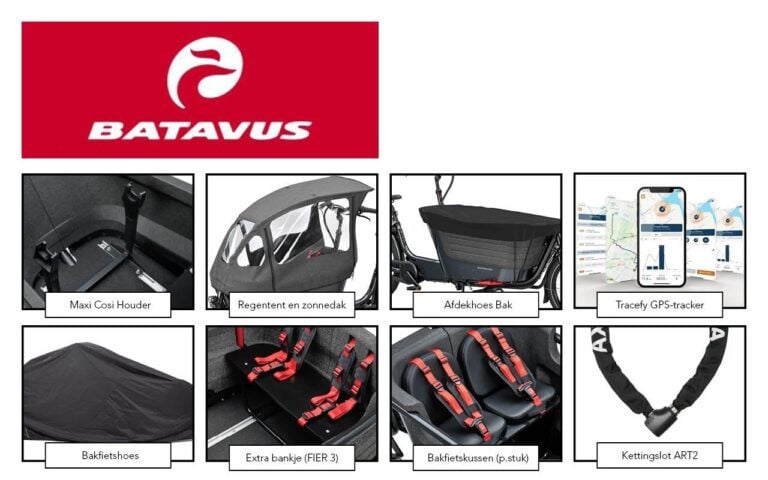 Batavus Fier 2