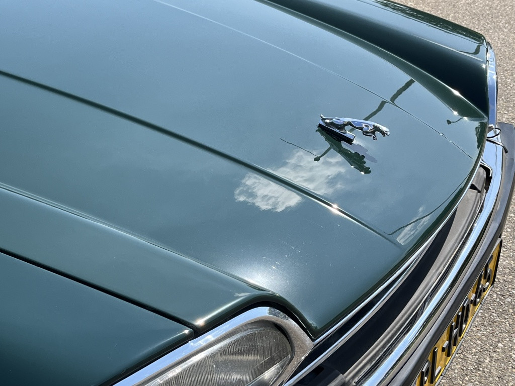 Jaguar Xj xjs-c 5.3 v12 targa
