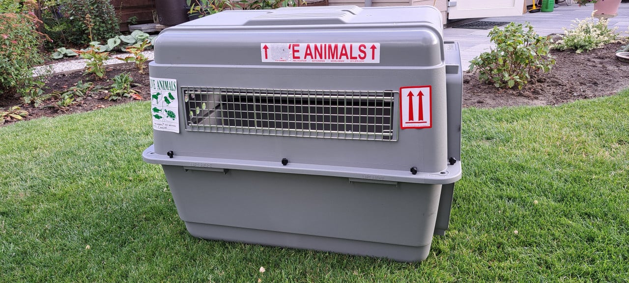 Transportbox / Sky kennel  (voor hond of kat)