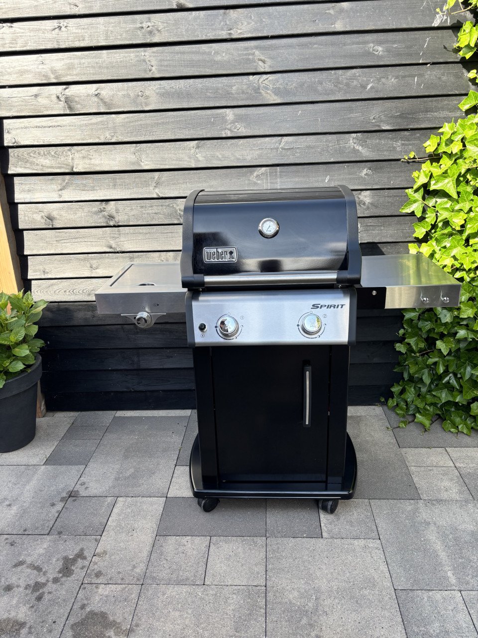Weber Bbq