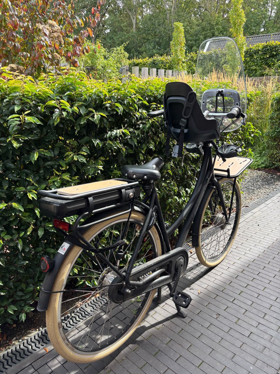 Elektrische dames fiets