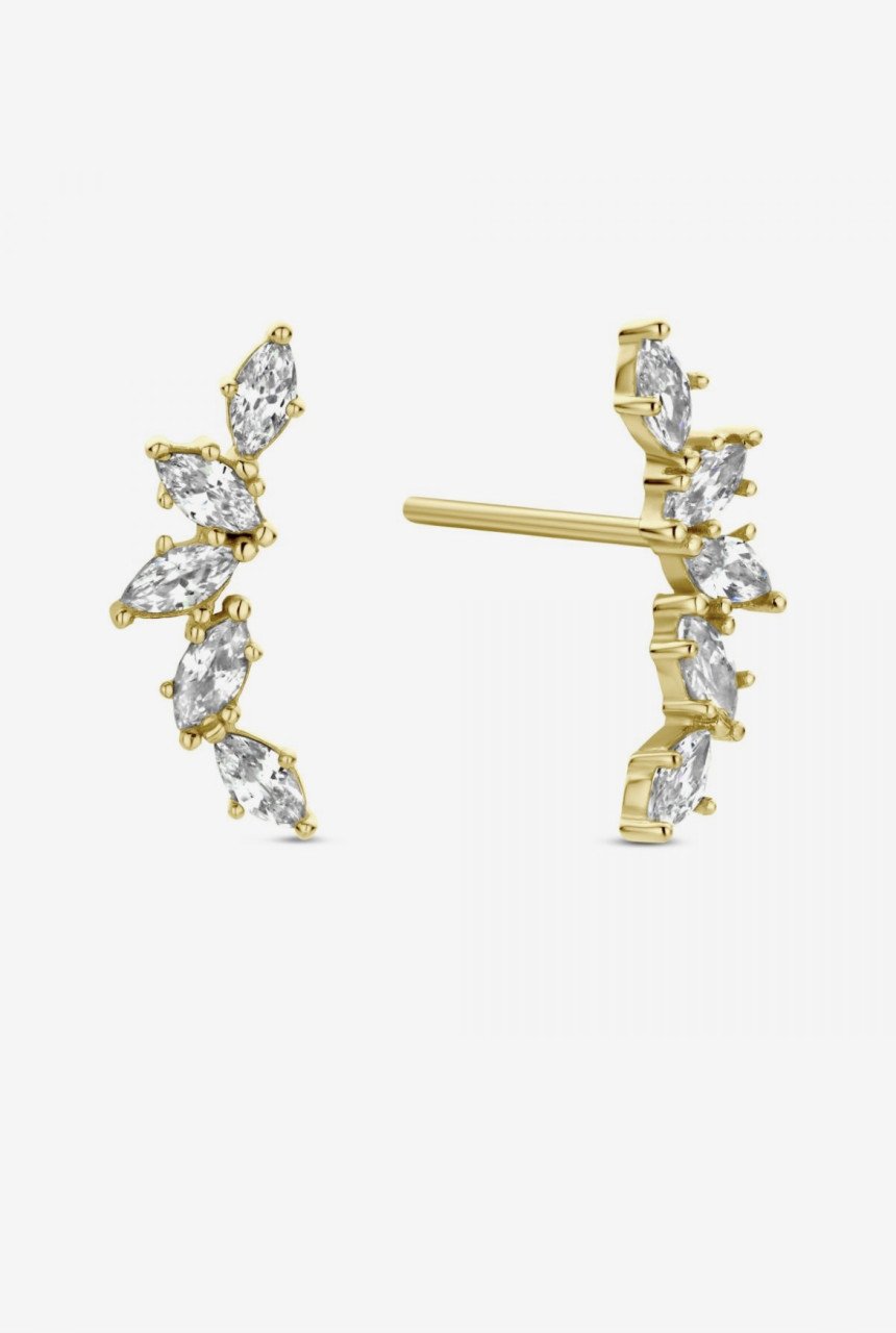 Nieuwe super leuke oorbellen (kan ook als piercing)
