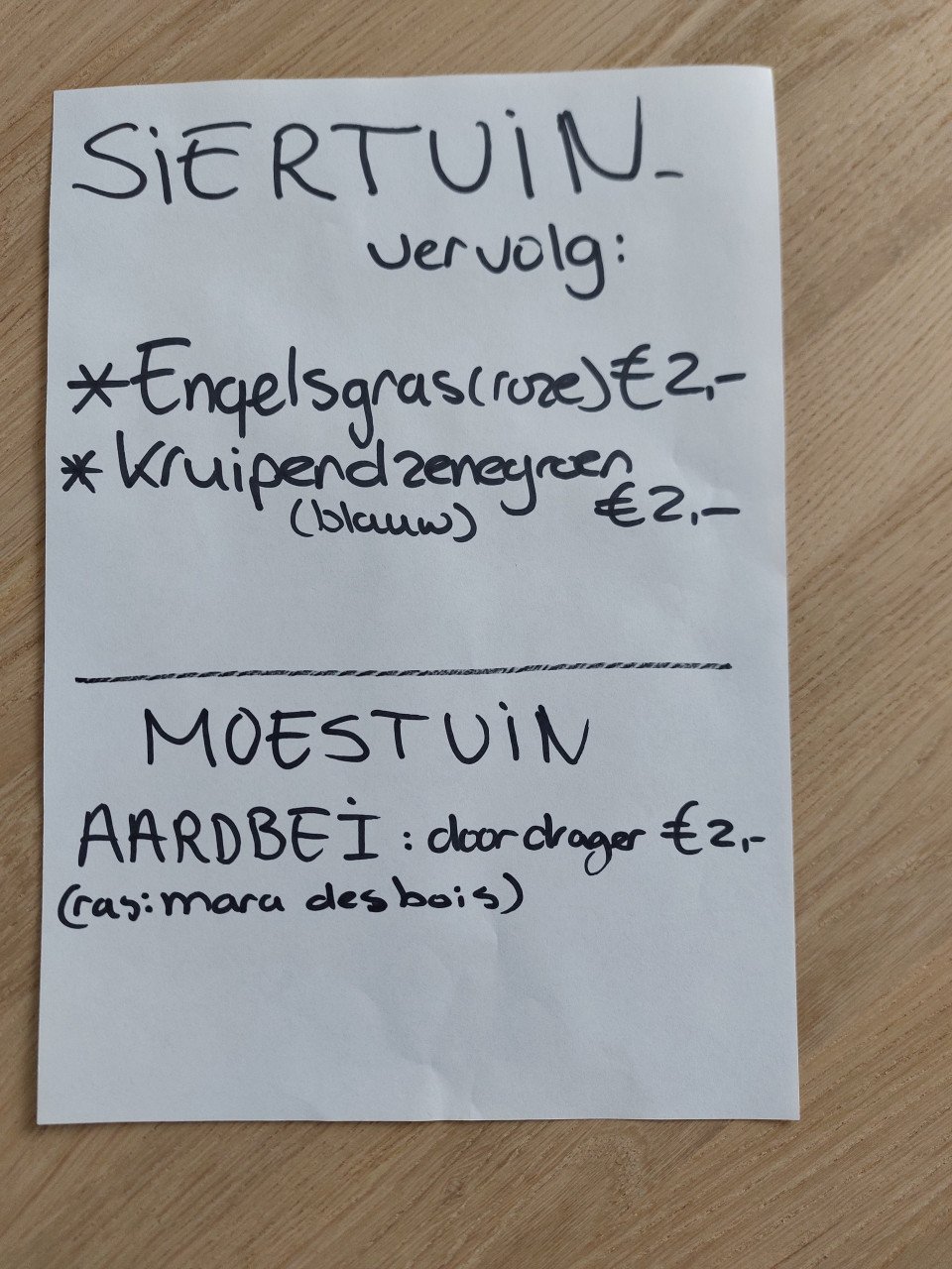 AARDBEIEN- SIERTUIN en MOESTUIN PLANTEN + BOOM bij DE VOORDEUR